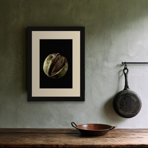 Black Walnut Print, Split Husk Art, Dark Academia Study Art, Olive and Brown Printable image 6