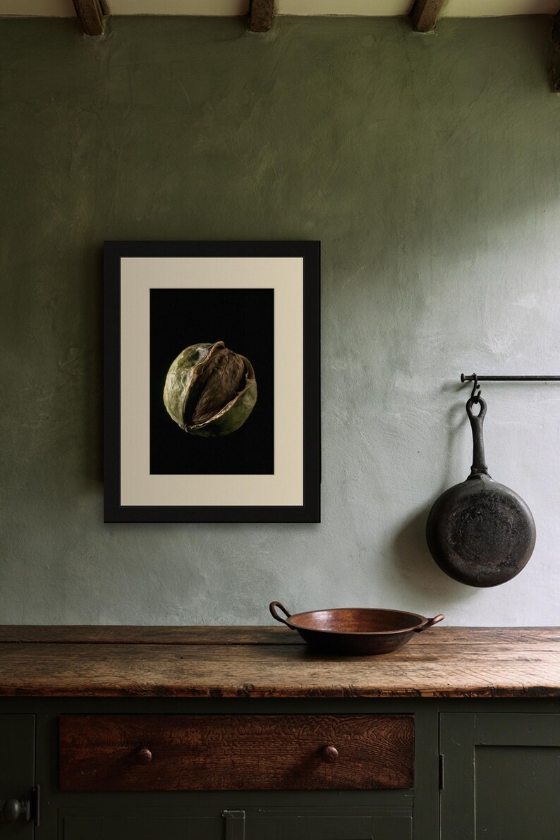 Black Walnut Print, Split Husk Art, Dark Academia Study Art, Olive and Brown Printable image 6
