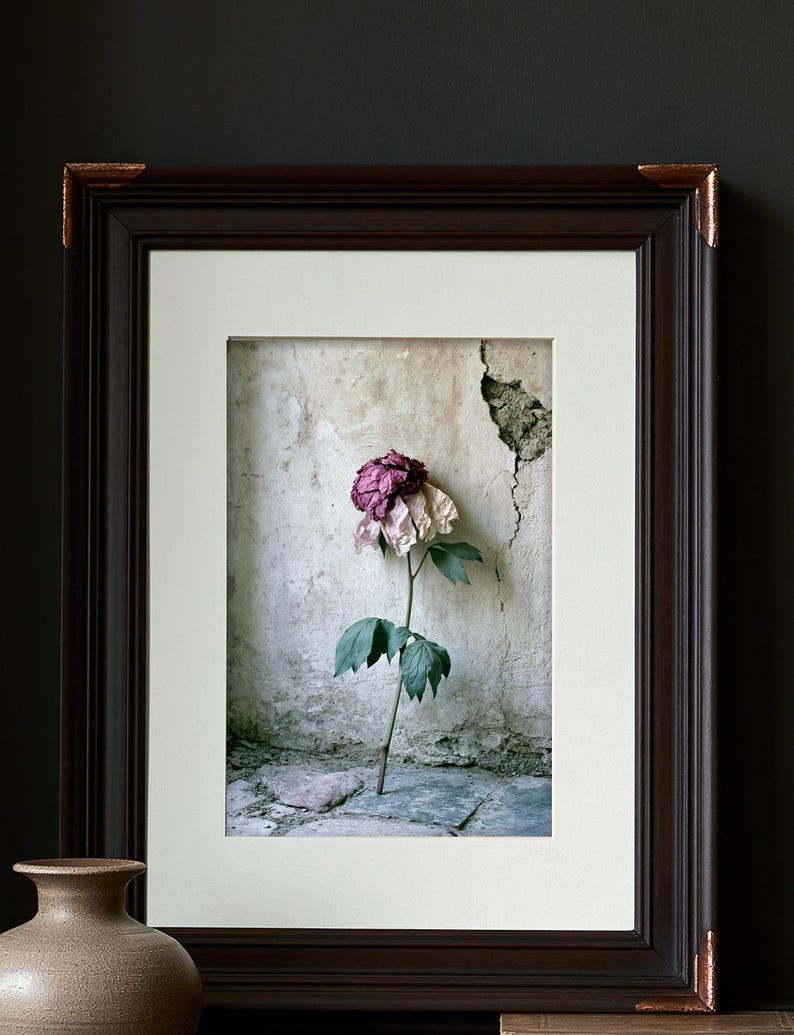 Peut inclure: Une impression encadr&eacute;e repr&eacute;sentant une fleur s&eacute;ch&eacute;e unique aux p&eacute;tales violet fonc&eacute; et rose p&acirc;le sur une fine tige verte avec des feuilles. La fleur est plac&eacute;e contre un mur blanc cass&eacute; textur&eacute; et fissur&eacute; et un sol en pierre, dans un cadre brun.
