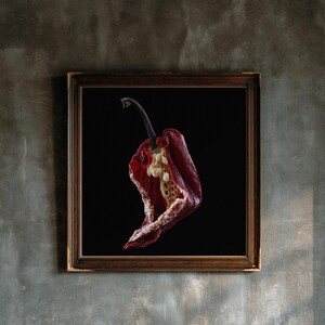 Puede incluir: Una pieza de arte mural cuadrada enmarcada que muestra un chile rojo oscuro seco con un tallo visible y semillas claras en el interior, sobre un fondo negro sólido dentro de un marco de madera marrón oscuro con un borde interior dorado.