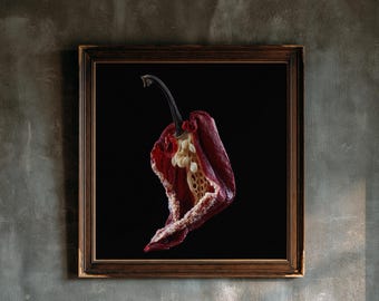Peut inclure: Une œuvre d'art murale carrée encadrée représentant un piment rouge foncé séché avec une tige visible et des graines claires à l'intérieur, sur fond noir uni dans un cadre en bois brun foncé avec une fine bordure intérieure dorée.