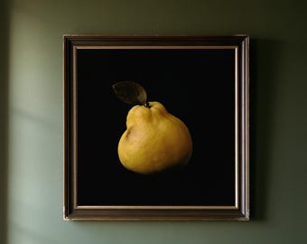 May include: A square framed wall art piece featuring a single yellow quince fruit with a dark brown leaf against a solid black background. The artwork is enclosed in a dark brown wooden frame with a thin gold inner border, displaying a still life.