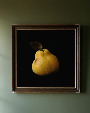 Golden Quince print from the Duskwood Fell shop