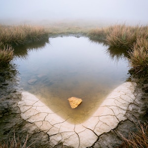 Moor Pool, Autumn Print, Dark Academia Wall Art, Moody Countryside Decor, Digital Download image 7