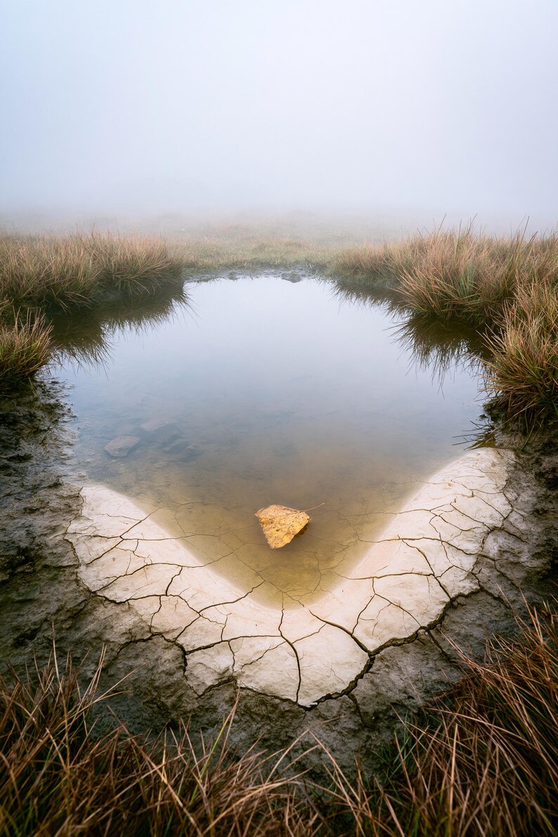 Moor Pool, Autumn Print, Dark Academia Wall Art, Moody Countryside Decor, Digital Download image 7