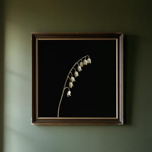 May include: A square framed wall art piece featuring a single stem of white lily of the valley flowers against a solid black background. The frame is dark brown with a thin gold inner border, showcasing a botanical illustration of the plant.
