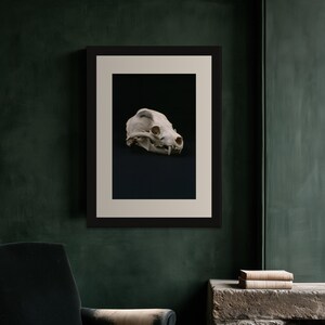 Animal Skull Print, Dark Academia Gothic Decor (Digital Download) image 9