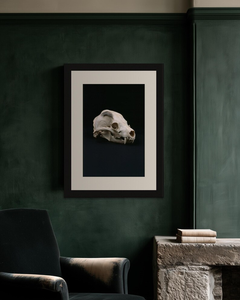 Animal Skull Print, Dark Academia Gothic Decor (Digital Download) image 9
