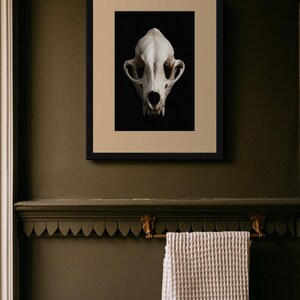 Lámina con calavera de zorro, arte gótico de gabinete de curiosidades, decoración Dark Academia (descarga digital) imagen 6