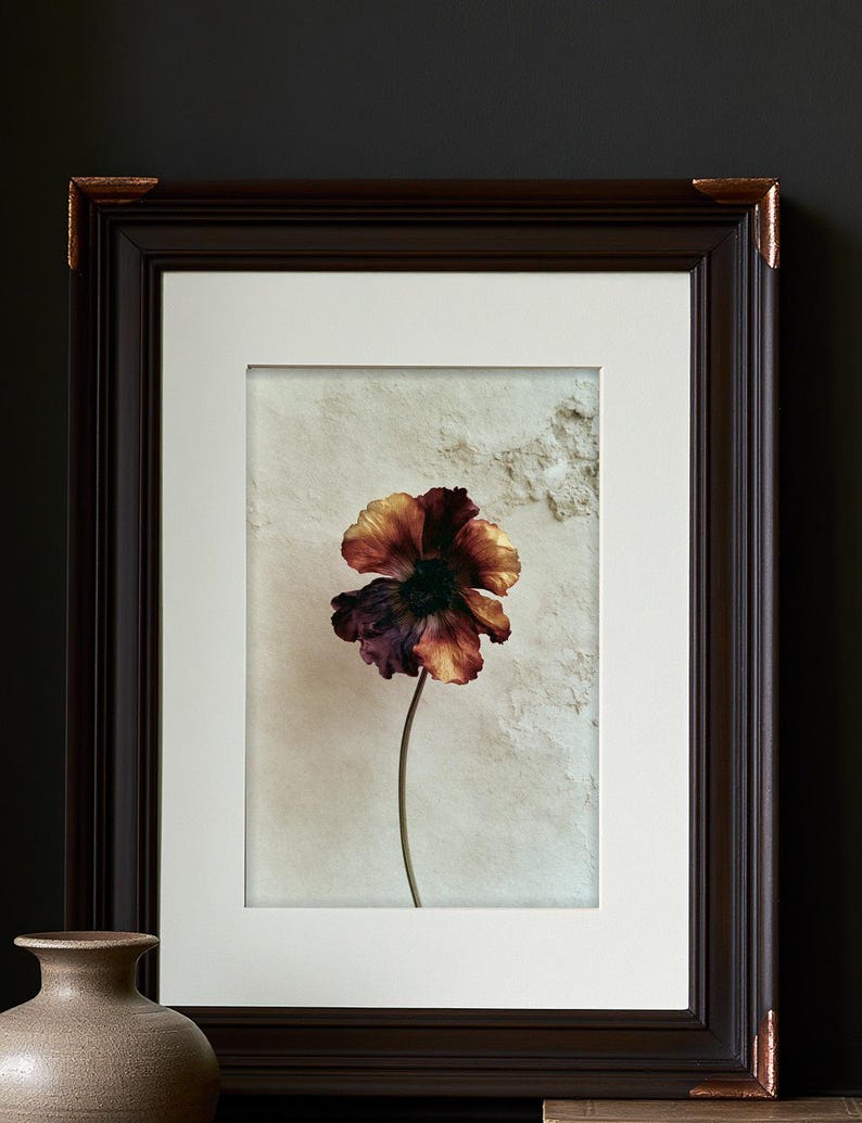 May include: A framed wall art piece featuring a single poppy flower with deep burgundy, orange, and yellow petals. The artwork is encased in a dark brown wooden frame with copper-toned corner accents and a wide white mat board border.