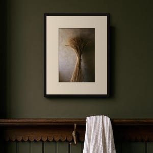 Herbarium-Druck einer getrockneten Weizengarbe, Wandbild im Stil der Dark Academia, gotische Schrankdekoration (Digitaler Download) Bild 3