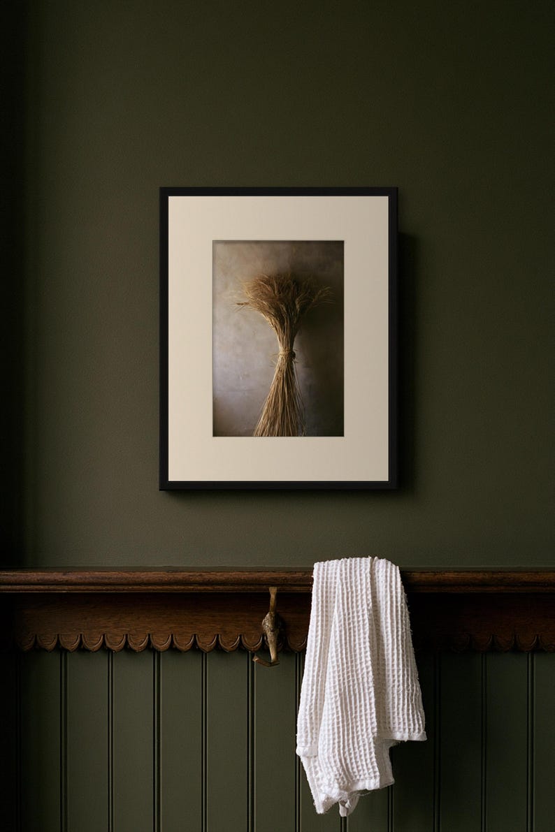 Herbarium-Druck einer getrockneten Weizengarbe, Wandbild im Stil der Dark Academia, gotische Schrankdekoration (Digitaler Download) Bild 3
