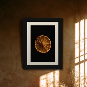 Dried Orange Slice Print, Amber Citrus Art, Dark Kitchen Wall Decor (Digital Download) image 7