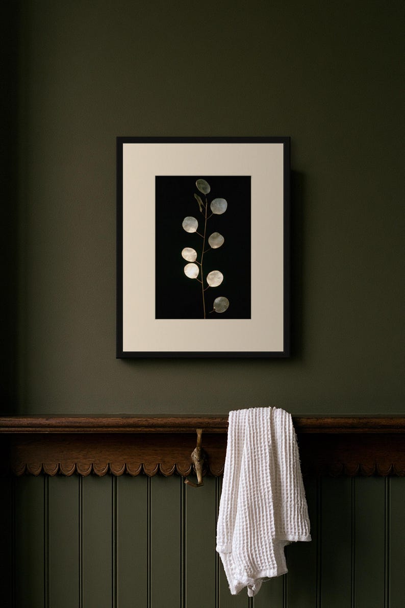 Lunaria Herbarium Print, Dark Academia Wall Art, Gothic Decor (Digital Download) image 3