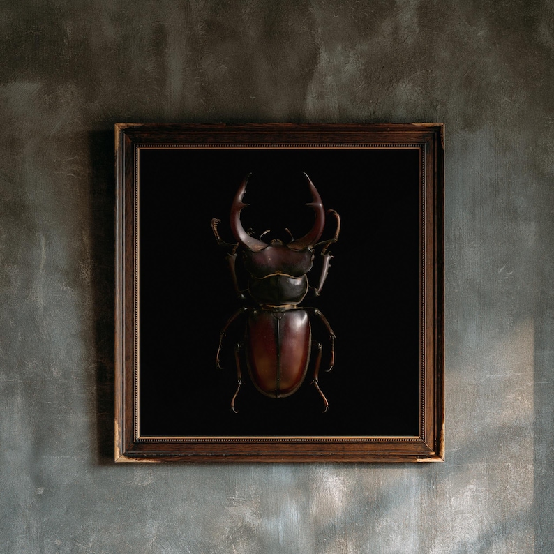Stag Beetle Print, Dark Academia Wall Art, Gothic Cabinet of Curiosities (Digital Download) image 1