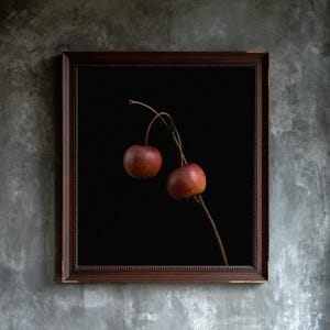 Crab Apples on Branch Herbarium Print, Dark Academia Wall Art (Digital Download) image 3