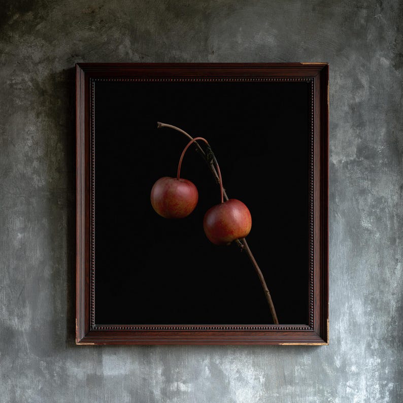 Crab Apples on Branch Herbarium Print, Dark Academia Wall Art (Digital Download) image 3
