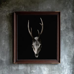 May include: A framed wall art piece featuring a white deer skull with dark antlers centered against a solid black background. The artwork is enclosed in a dark brown wooden frame with a beaded inner edge, presenting a high-contrast visual display.