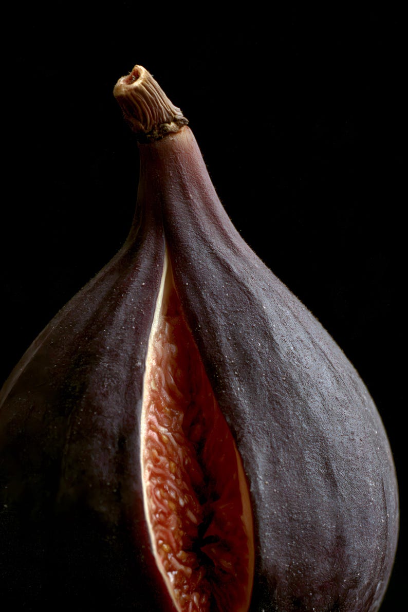 Split Fig Print, Purple Fruit Art, Dark Cottagecore Kitchen Art, Moody Plum Printable image 4