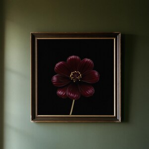 May include: A square framed wall art piece featuring a deep dark red cosmos flower with a golden yellow center against a solid black background. The frame is dark brown with a thin gold inner border, showcasing the flower's petals in detail.