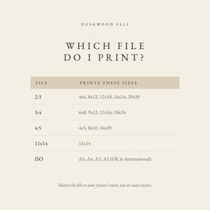 Silver Birch in Fog Print, Fallen Trunk Woodland Art, Misty Winter Bedroom Art image 9