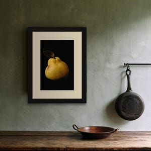 Golden Quince Print, Fruit Still Life Art, Dark Cottagecore Kitchen Art, Mustard Yellow Printable image 6