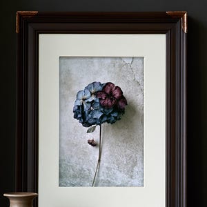 May include: A framed print featuring a single hydrangea flower with blue and deep purple petals on a long stem. The artwork is set within a dark brown wooden frame with copper-toned corner accents and a wide, off-white mat board border.
