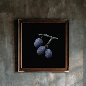 Damson Plums Print, Fruit on Twig Art, Dark Cottagecore Kitchen Art, Plum Blue Printable image 1