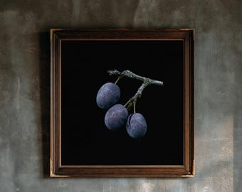 May include: A square framed wall art piece featuring a dark, high-contrast composition of three deep purple plums attached to a textured, light-colored woody branch. The plums are set against a solid black background within a dark brown wooden frame.