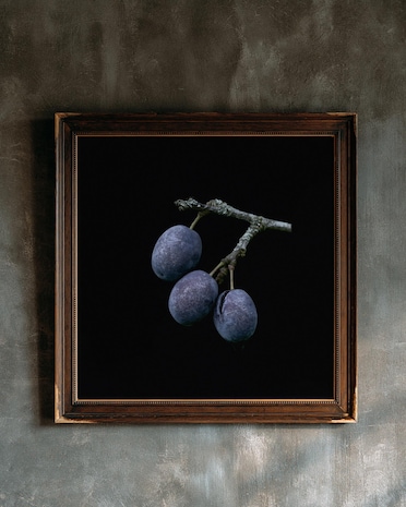 Damson Plums print from the Duskwood Fell shop