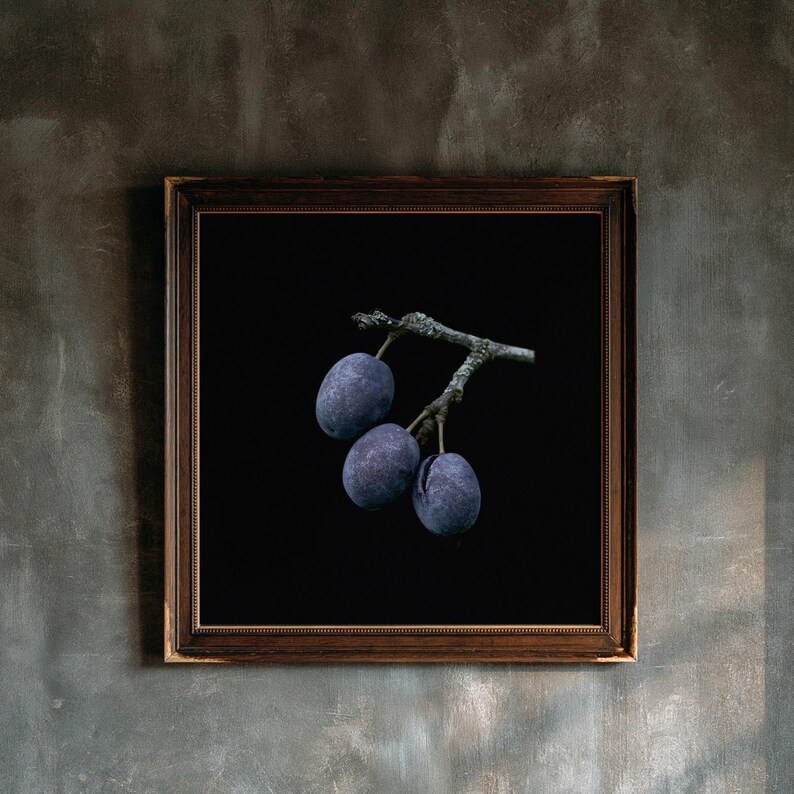 Damson Plums Print, Fruit on Twig Art, Dark Cottagecore Kitchen Art, Plum Blue Printable image 1