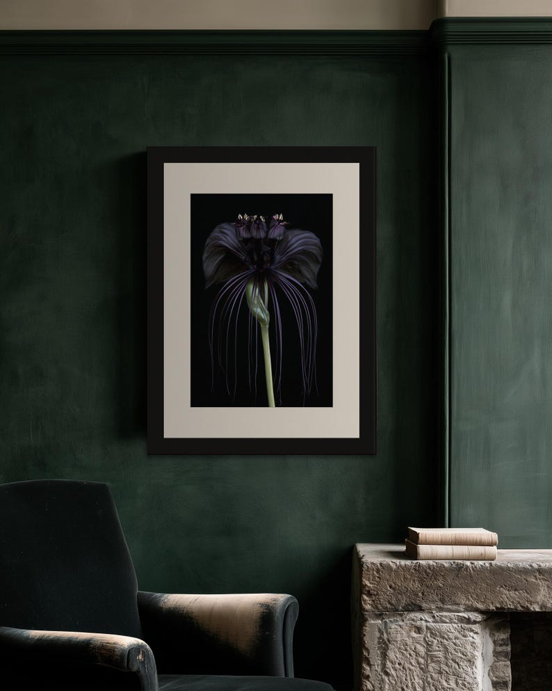 Black Bat Flower Print, Dark Academia Gothic Wall Art (Digital Download) image 6