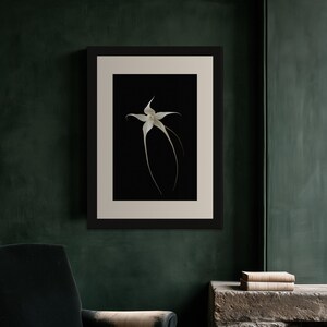 Ghost Orchid Print, Dark Academia Wall Art, Gothic Cabinet of Curiosities Decor, Digital Download image 7