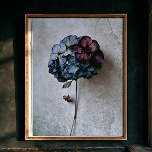Blue-Mauve Hydrangea Print, Dark Academia Wall Art (Digital Download) image 1