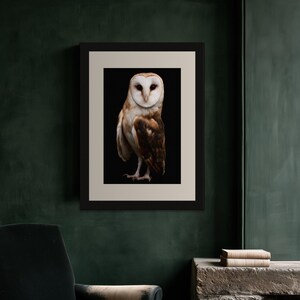 Barn Owl Print, Dark Academia Wall Art, Gothic Cabinet of Curiosities Decor, Digital Download image 6
