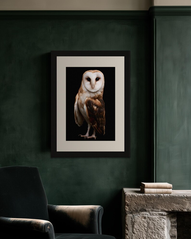 Barn Owl Print, Dark Academia Wall Art, Gothic Cabinet of Curiosities Decor, Digital Download image 6