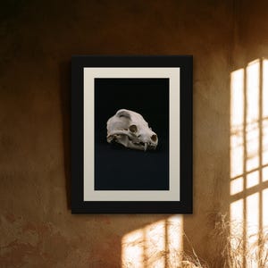 Animal Skull Print, Dark Academia Gothic Decor (Digital Download) image 10