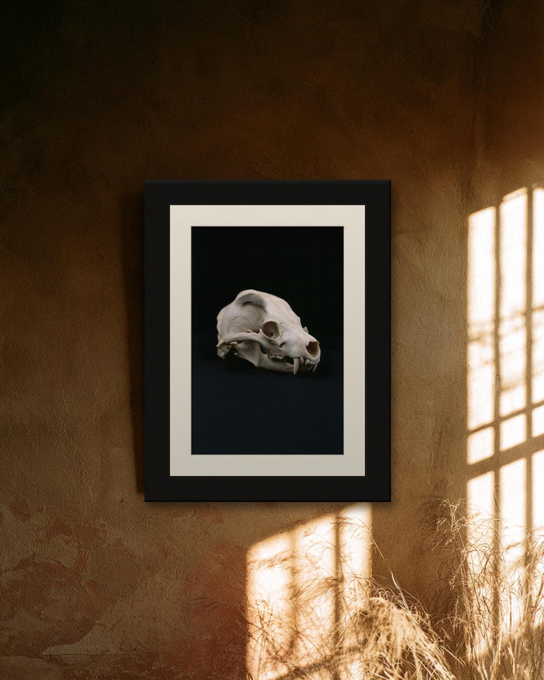 Animal Skull Print, Dark Academia Gothic Decor (Digital Download) image 10