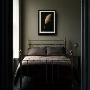 Pampas Grass Herbarium Print, Dark Academia Wall Art, Gothic Cabinet of Curiosities Decor, Digital Download image 6