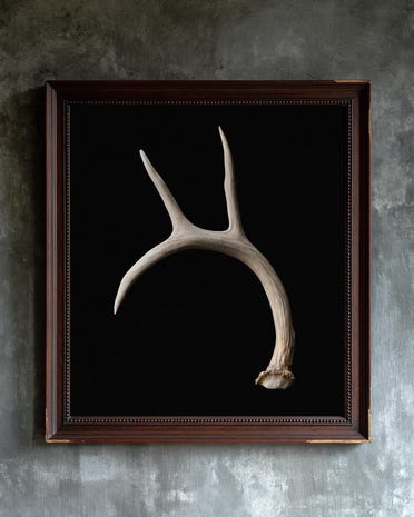 Weathered Antler print from the Duskwood Fell shop