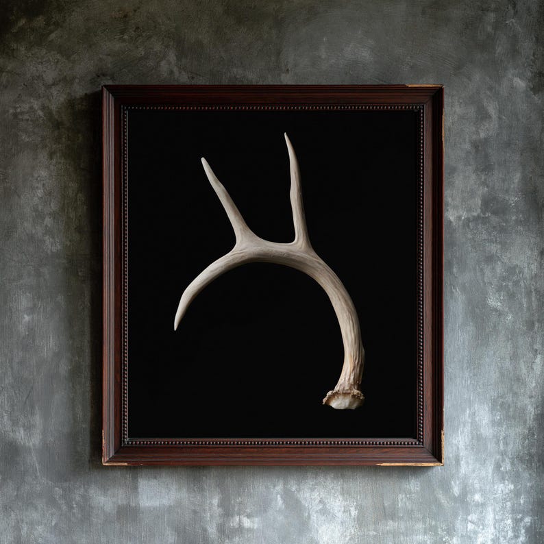 Weathered Antler Print, Dark Academia Wall Art, Gothic Decor (Digital Download) image 1