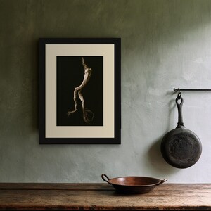 Mandrake Root Poison Garden Print, Dark Academia Wall Art, Gothic Cabinet of Curiosities Decor, Digital Download image 7