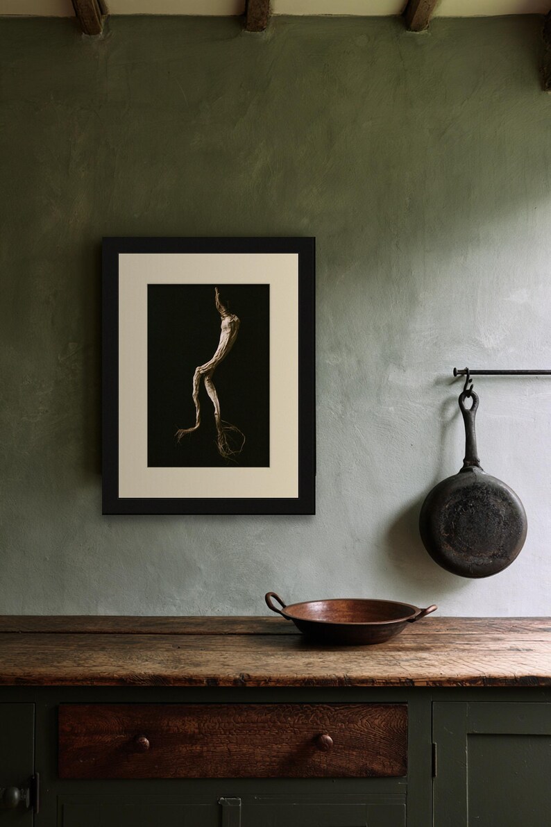 Mandrake Root Poison Garden Print, Dark Academia Wall Art, Gothic Cabinet of Curiosities Decor, Digital Download image 7
