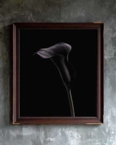 Black Calla Lily print from the Duskwood Fell shop