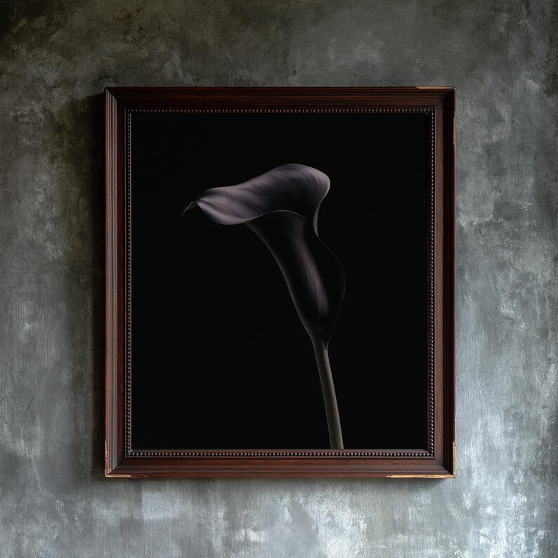 Lámina de lirio cala negro, arte mural de estilo academia oscura, decoración gótica (descarga digital) imagen 1