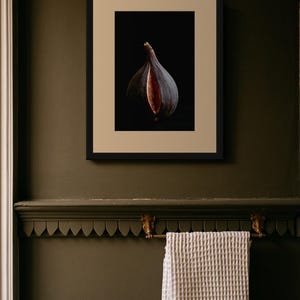 Split Fig Print, Purple Fruit Art, Dark Cottagecore Kitchen Art, Moody Plum Printable image 8