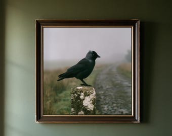 May include: A square framed wall art piece featuring a photograph of a black bird perched on a weathered, moss-covered stone post. The background shows a misty, overcast landscape with a dirt path stretching into the distance, all enclosed in a dark brown frame with a thin gold inner border.