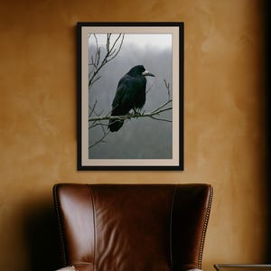 Rook on Ash Branch Print, Gothic Cottagecore Bird Art (Digital Download) image 7