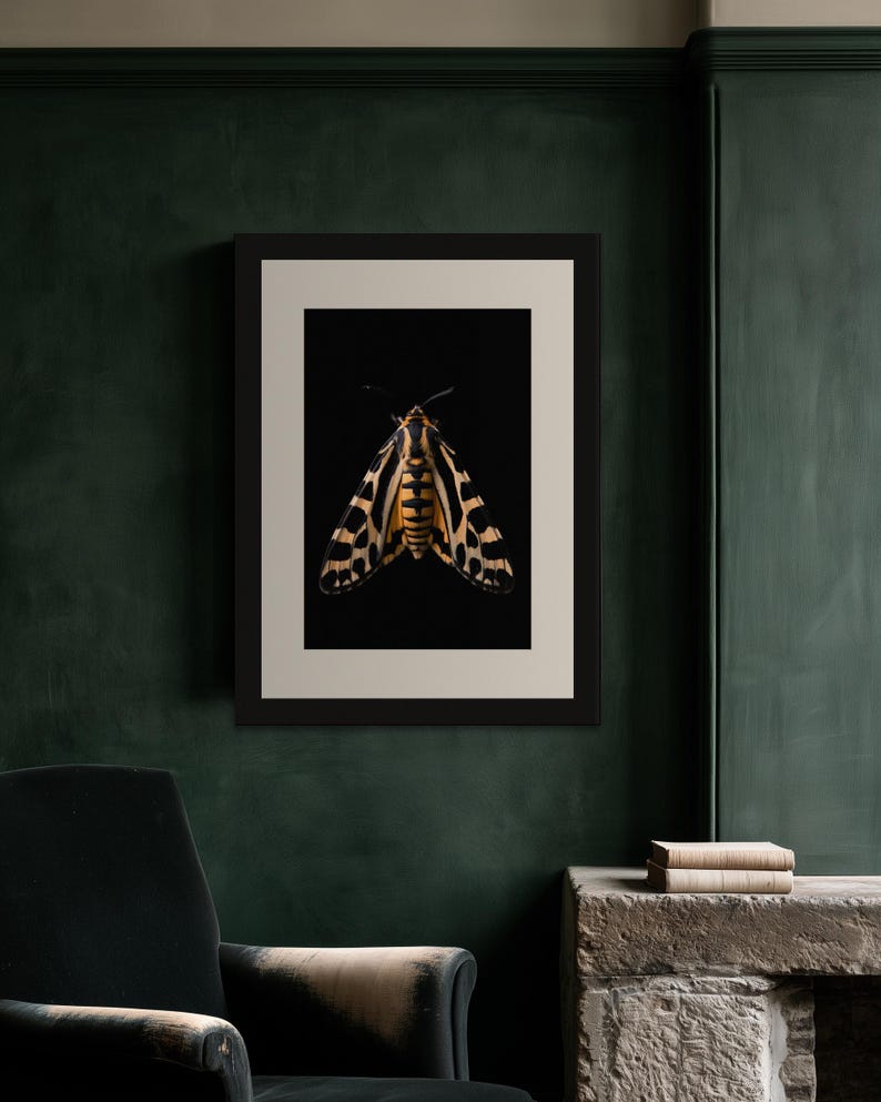 Estampado de polilla tigre, arte mural de estilo Dark Academia, decoración gótica de gabinete de curiosidades, descarga digital. imagen 6