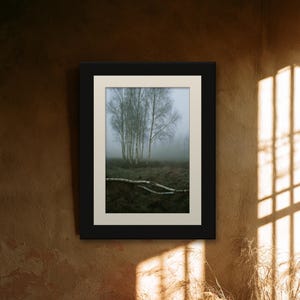 Silver Birch in Fog Print, Fallen Trunk Woodland Art, Misty Winter Bedroom Art image 6